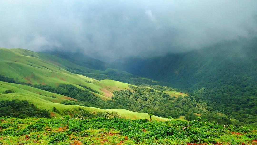 Hills of Chikmagalur covered in mist | Wedifys Weddings