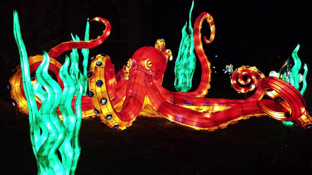 Christmas illuminations in Jardin des Plantes | Wedifys