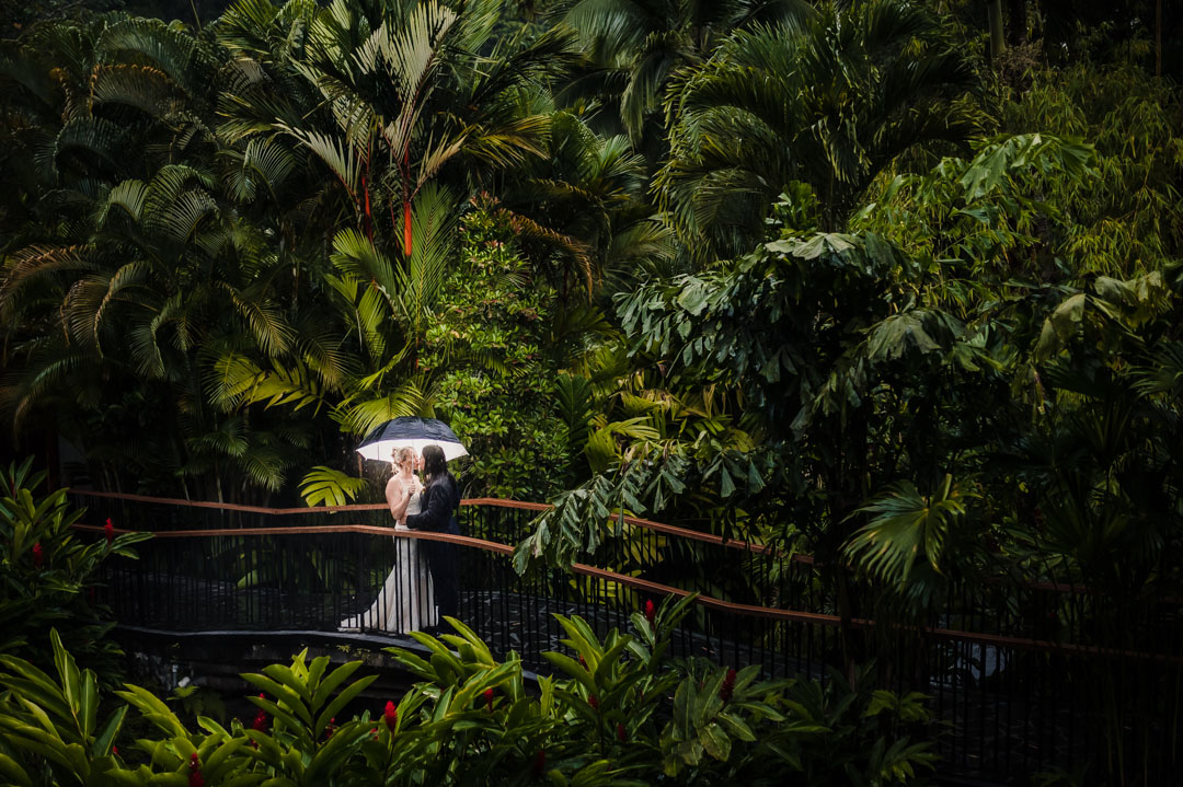 Wedding in the tropical trees of Tabacon Thermal Resort & Spa | Wedifys