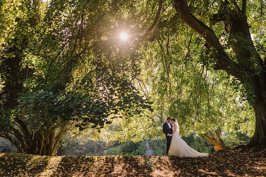 Nikon z Series wedding photography | Wedifys