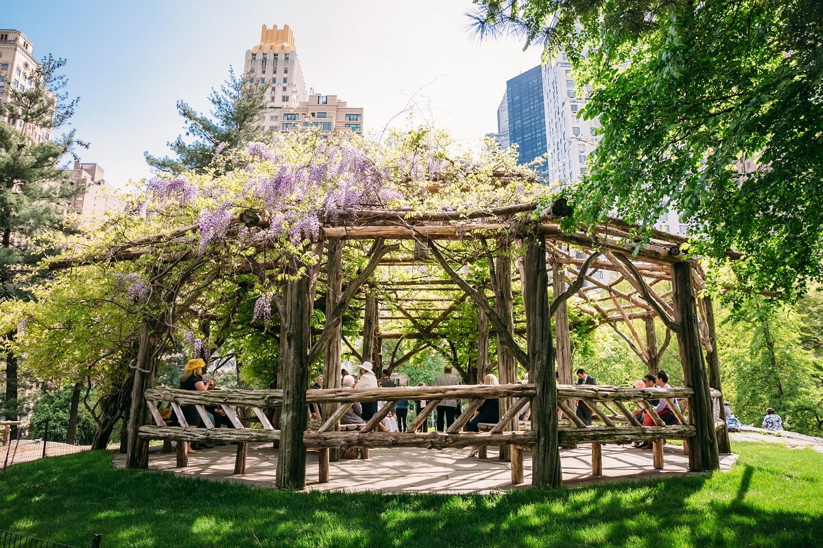 Cop cot in Central Park, New York | Wedifys