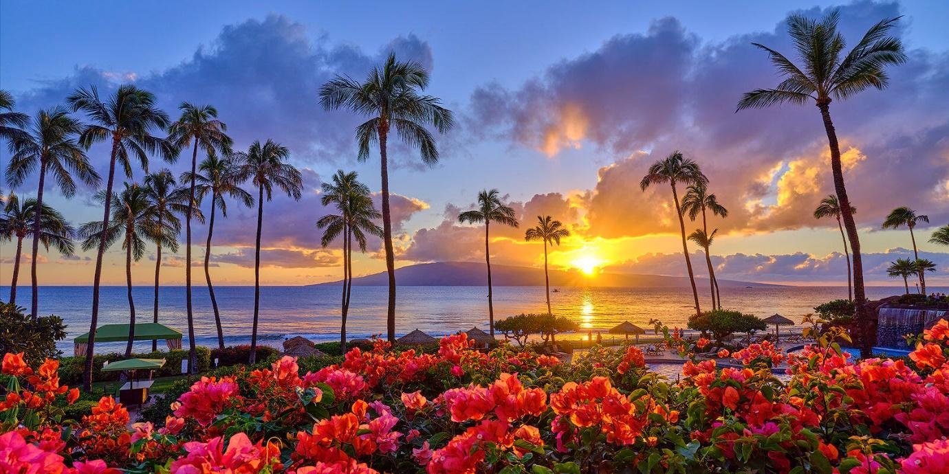 scenic view of the setting sun in Hawaii | Wedifys
