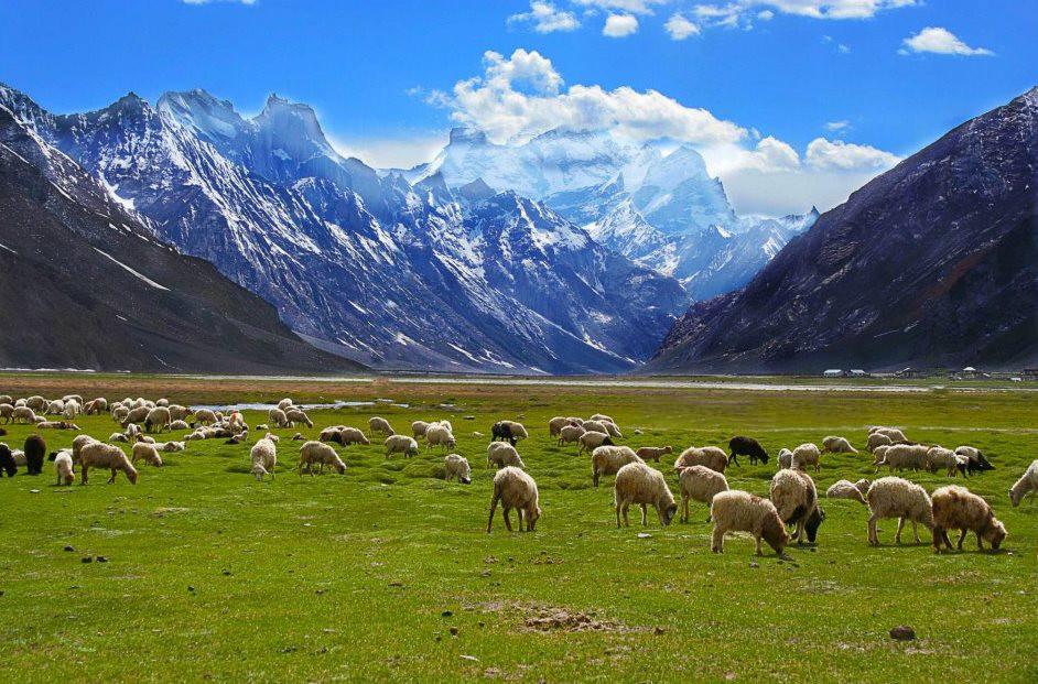 the eye-capturing view of Ladakh, Jammu and Kashmir | Wedifys