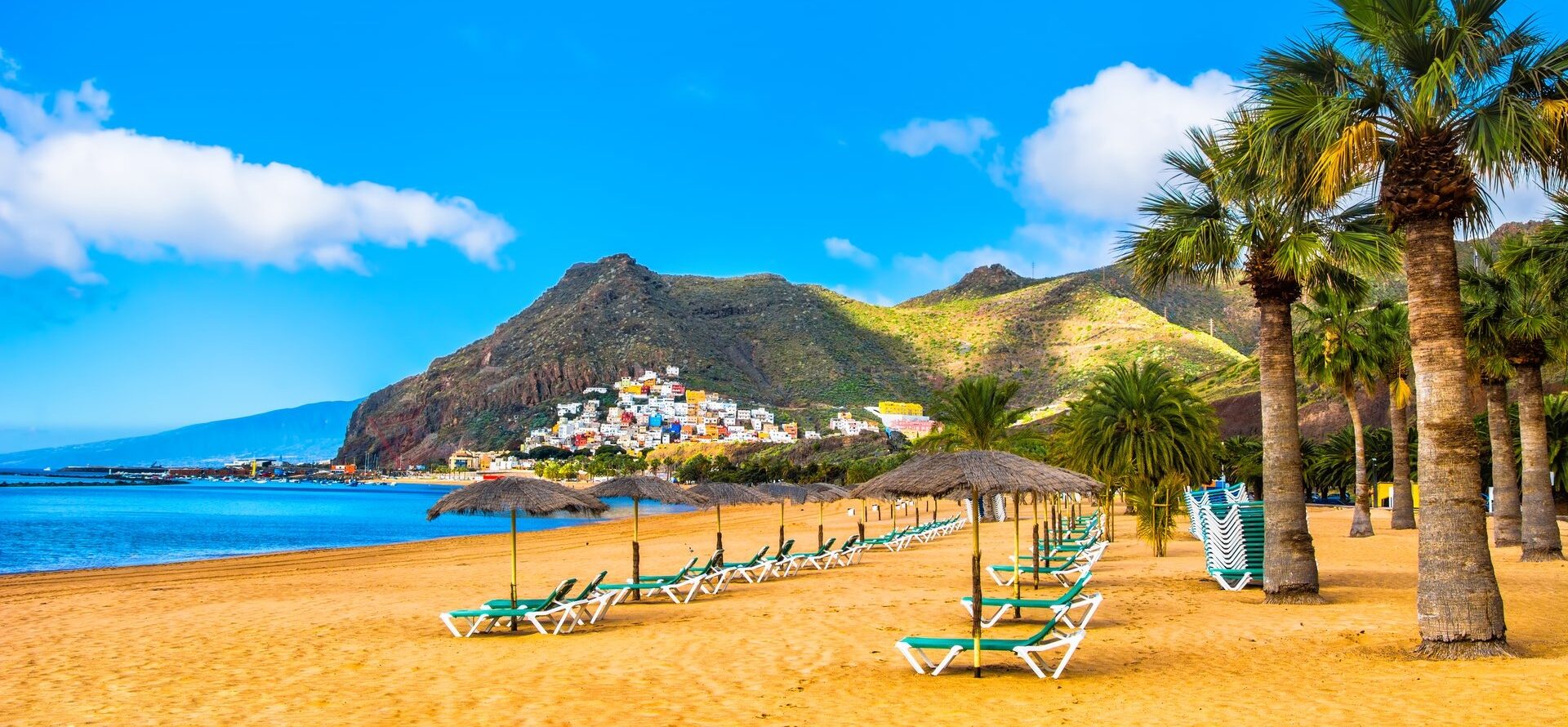 a view of a beach in Tenerife | Wedifys