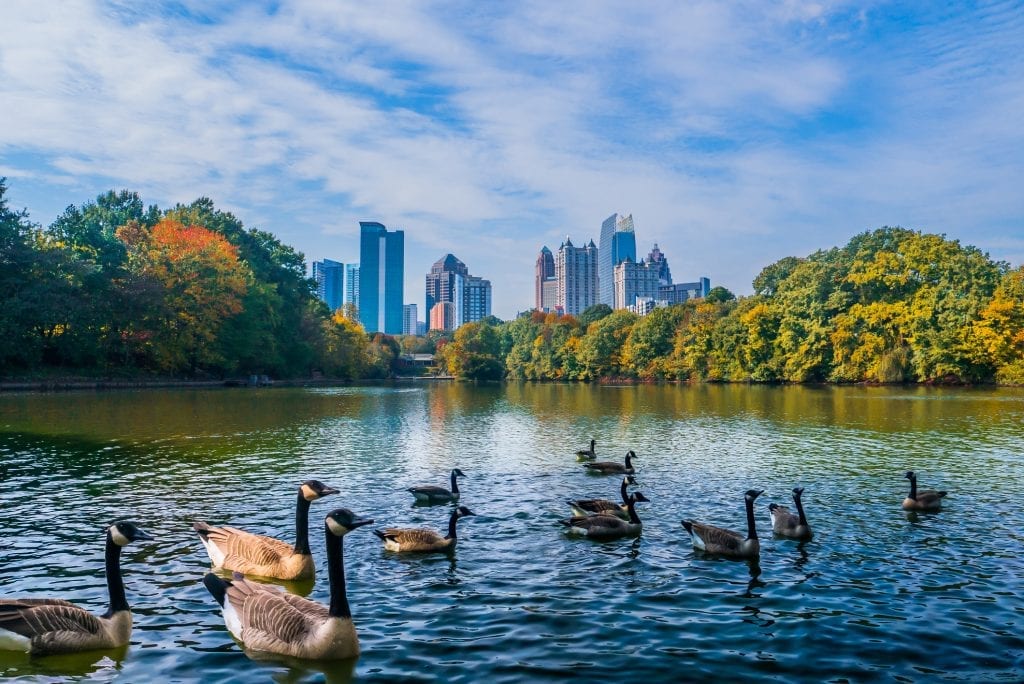 Lake Clara Meer in Piedmont Park | Wedifys