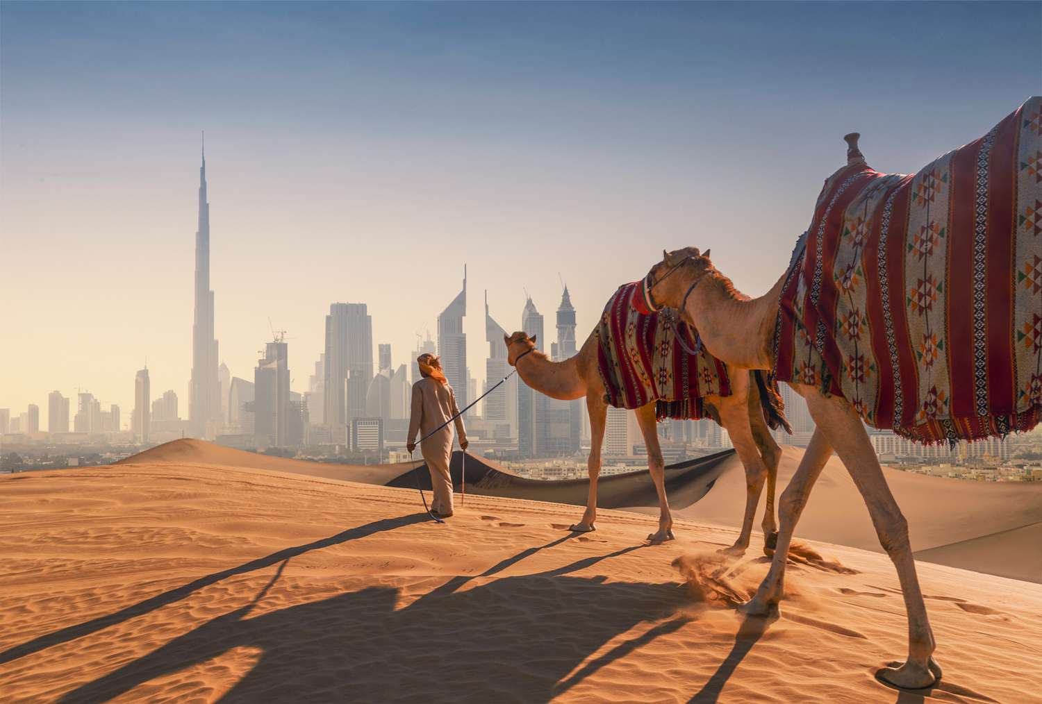 a person walking his camels in the sand dunes of Dubai | Wedifys