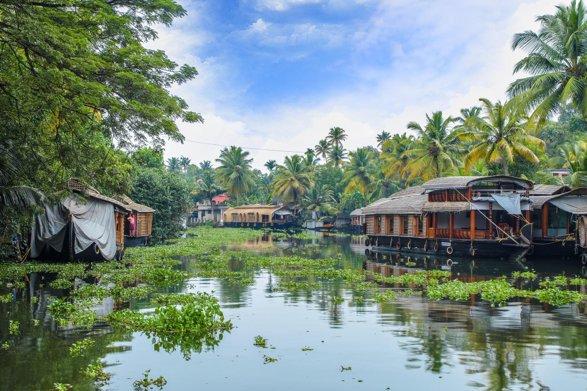 a view of Kumarakom backwaters in Kerala | Wedifys