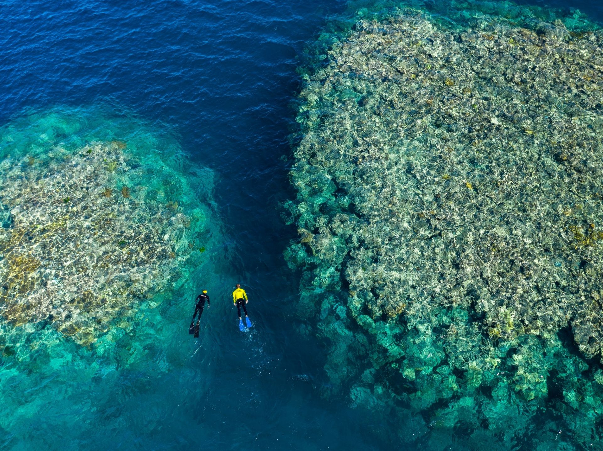 a couple diving in the waters of the Great Barrier Reef | Wedifys