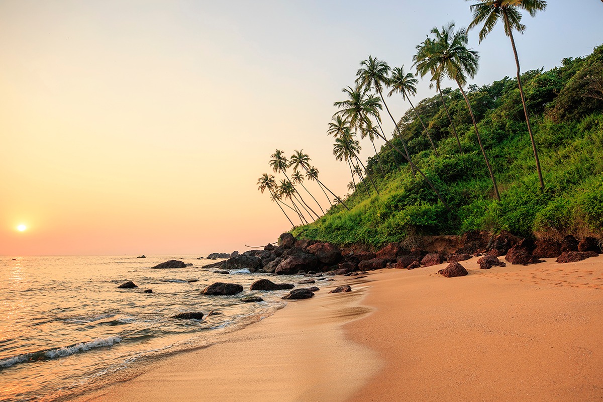 a view of Beach Capital in Goa | Wedifys