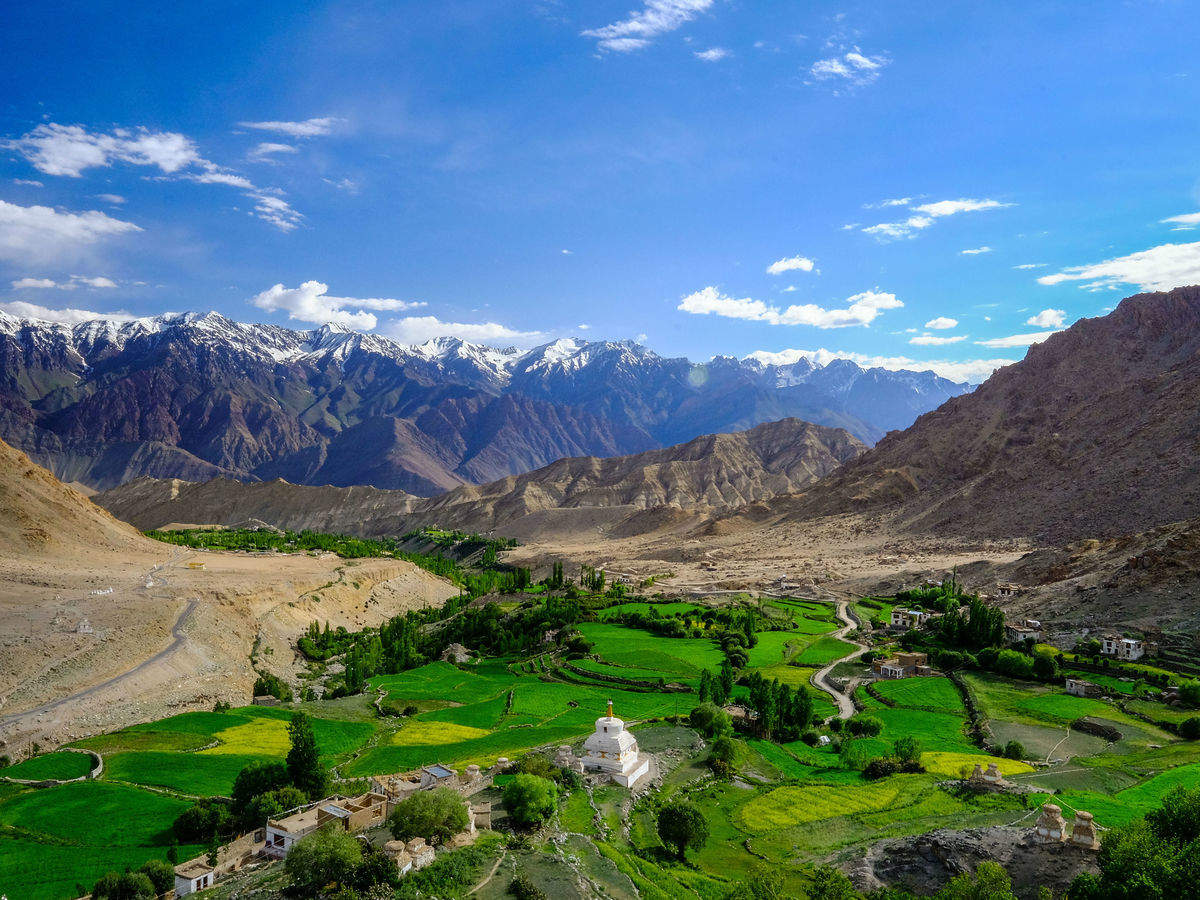 aerial view of Valley of flowers in Leh-Ladakh | Wedifys