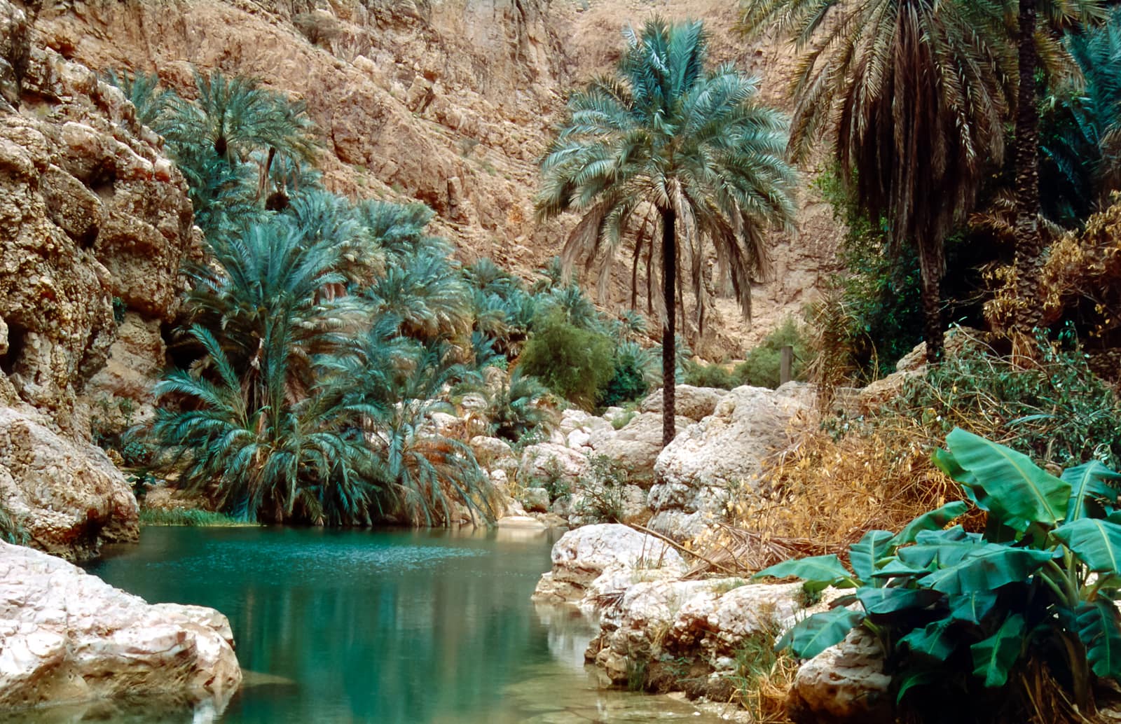 a view of Wadi Shab in Oman | Wedifys