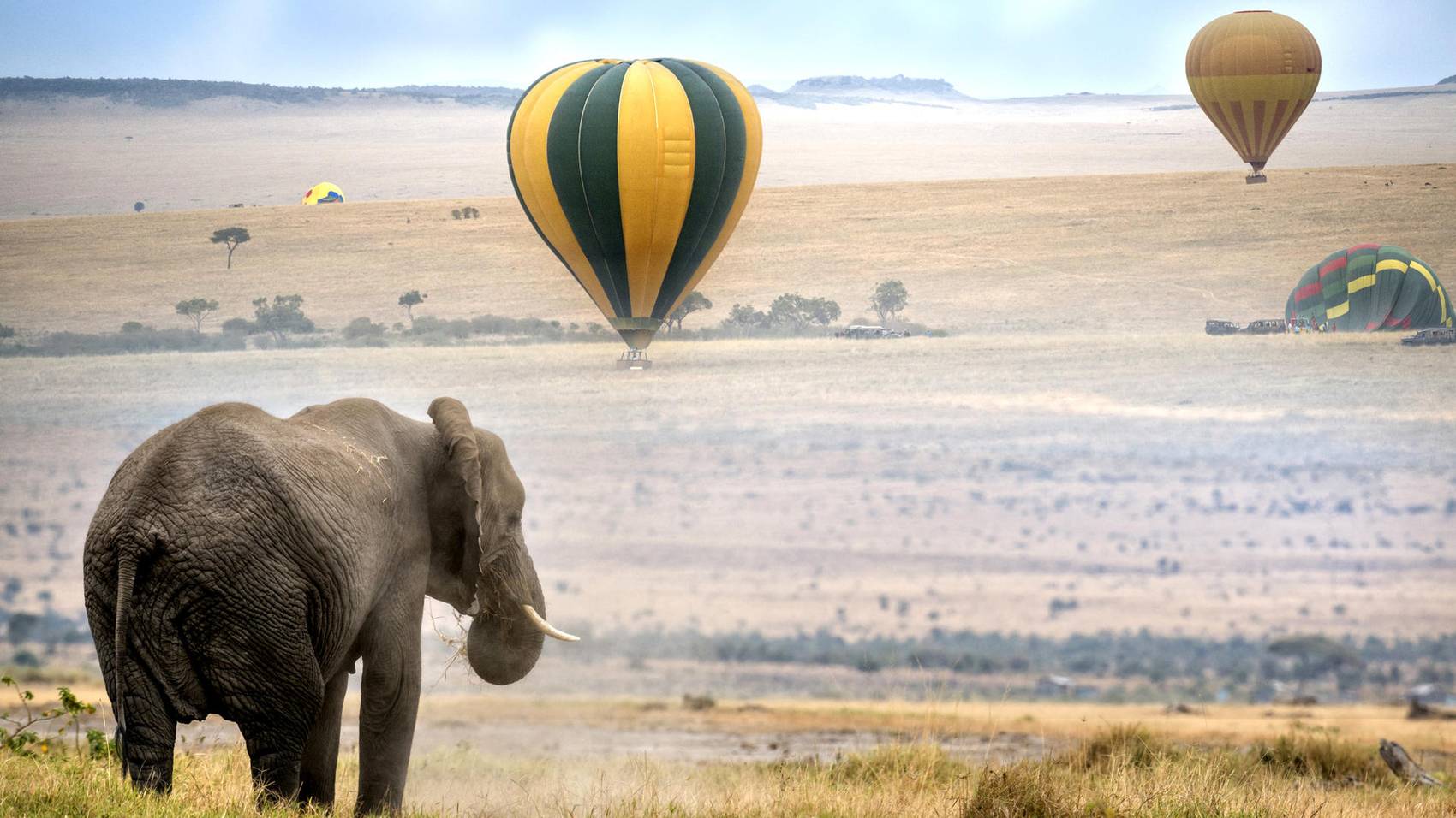 a shoot of an elephant and the lands of Maasai Mara National Reserve in Kenya | Wedifys