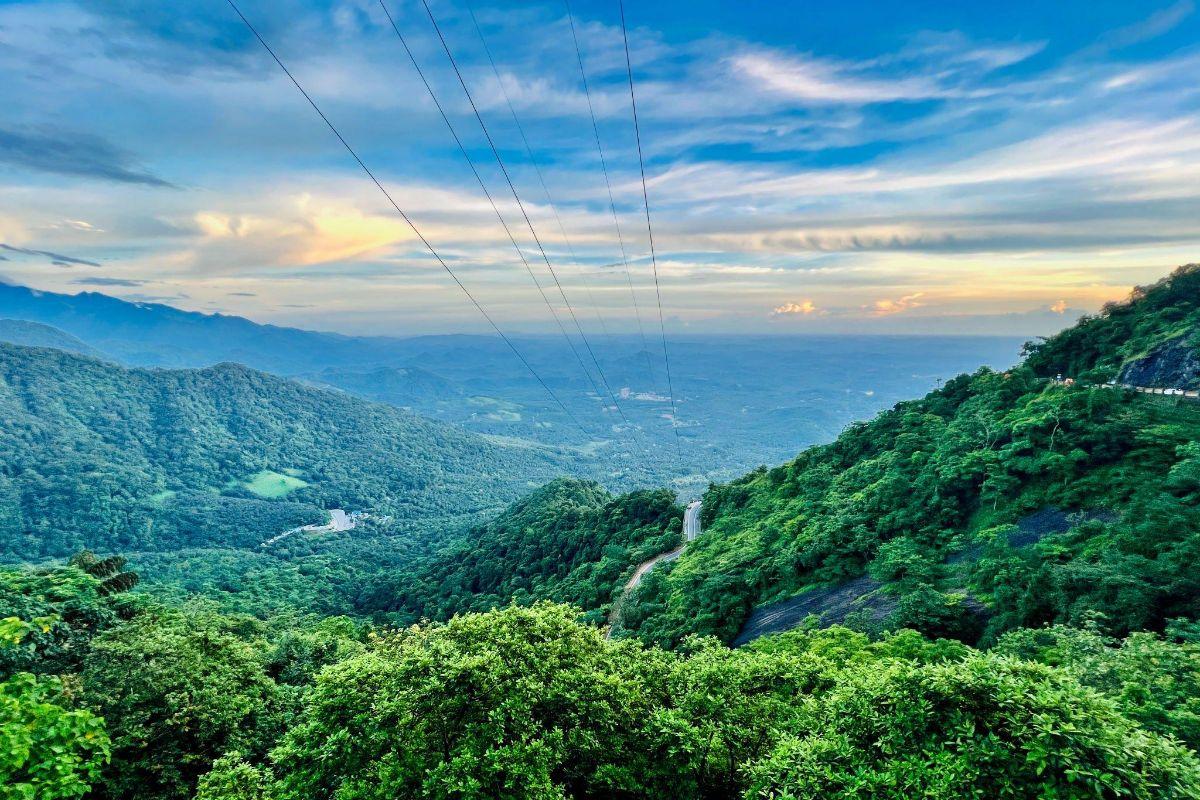 an aerial view of the forest of Wayanad in Kerala | Wedifys